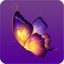 蝴蝶视频免费版安卓版