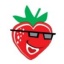 小红莓直播app下载地址黄版