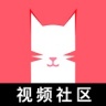 猫咪软件app下载官网污入口