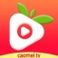 草莓视频app在线下载观看ios.