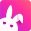 成版人兔子视频app下载