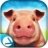 小猪模拟器2宰猪 v1.1.5 安卓版