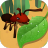 蚂蚁进化d V1.1 安卓版