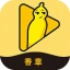 香草视频app最新版