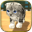 动物猫模拟器 V1.4.1 安卓版