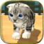 动物猫模拟器 V1.4.1 安卓版