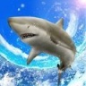 野生鲨鱼垂钓 V1.0.7 安卓版