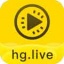 hg16 hive官网版
