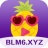 blm6xyz菠萝蜜 V2.0 加速版