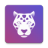 豹壁纸 1.0 安卓版