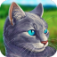 CatSimulatorAnimalLife猫咪模拟动物生活 V1.0.0.6 安卓版