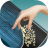 iGuzheng古筝专业版 V3.0.0