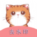 橘猫去水印 V1.0.0