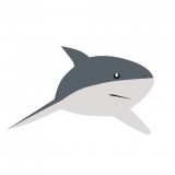 鲨鱼取图 V1.0