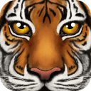 丛林动物模拟器 v1.2