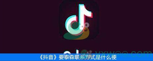 《抖音》要泰森联系方式是什么梗