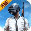 pubg国际服体验服手游